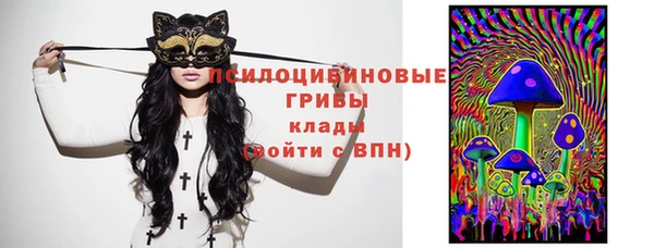 бошки Богородицк