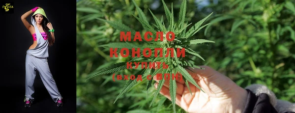 spice Богданович