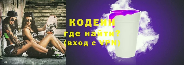 spice Богданович