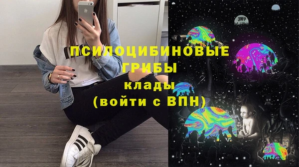 ешки Белокуриха