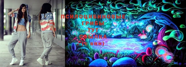 ешки Белокуриха