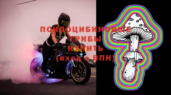 бошки Богородицк